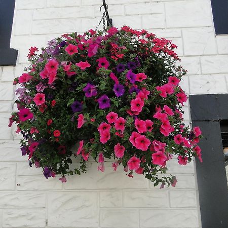 The Red Lion Inn Doune Екстериор снимка