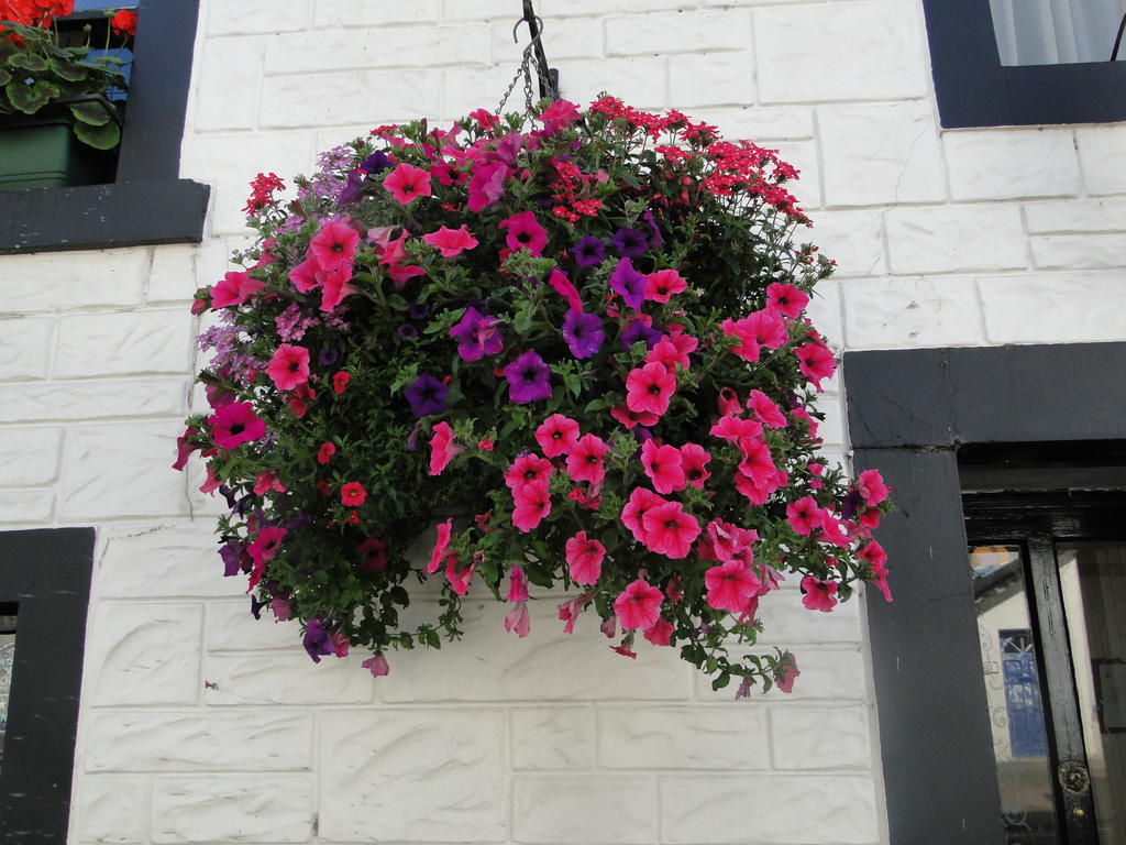 The Red Lion Inn Doune Екстериор снимка